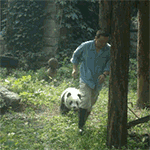 节哀顺变表情符号5