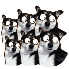 我怎么多情了文字表情7 我怎么多情了文字表情7