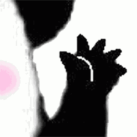 柴犬狗动态表情包12