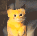 原神胡桃七七表情包4