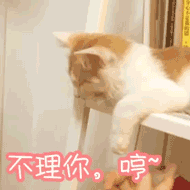 考试中的搞笑表情包7 考试中的搞笑表情包7