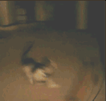 吃太饱的可爱表情7 吃太饱的可爱表情7