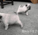 美女你舞姿优美表情到位11