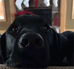 表扬表情包学生2 表扬表情包学生2