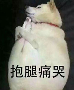 我们是什么表情11 我们是什么表情11