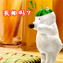 向女友道歉挽回的表情包3 向女友道歉挽回的表情包3