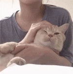 元神的动态表情包7