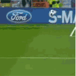 描写动物的世界5