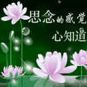 可怜了我的小可爱表情包8 可怜了我的小可爱表情包8