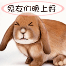 滚回来了动态表情包gif图6