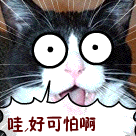 恐怖木偶脸满脸呆滞表情包10