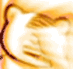 小孩表情包搞怪10 小孩表情包搞怪10