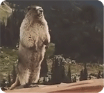 收到生日祝福回谢的话简短5