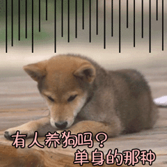 帝宣仪搞笑表情包7 帝宣仪搞笑表情包7