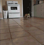 闲的蛋疼下一句1