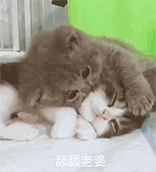 推荐15张鳄鱼的iphone表情8 推荐15张鳄鱼的iphone表情8