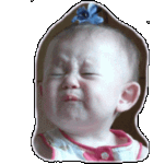 还珠表情包2 还珠表情包2