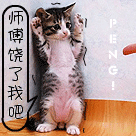 关于某人的表情包图片6 关于某人的表情包图片6