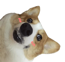 吓死暴走表情包13