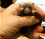 定点到位的微信表情11 定点到位的微信表情11