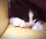 老人经典表情包图片4 老人经典表情包图片4