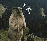 抖音视频怎么做带文字表情包9 抖音视频怎么做带文字表情包9