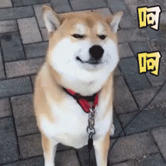 搞怪表情睡衣是什么品牌1