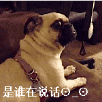 他说的表情5 他说的表情5