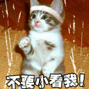 一个拿剑表情包2