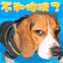 表情包搞笑沙雕小仙人2