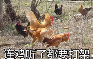 表情夸张的搞笑图片8