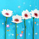 qq表情包里的小熊叫什么12 qq表情包里的小熊叫什么12