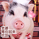 满级人类表情包1