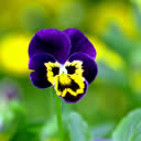 微信突然多了两个表情5 微信突然多了两个表情5