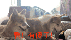 惹别人生气的表情3 惹别人生气的表情3