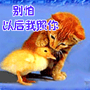 邓超烈日灼心动态表情9