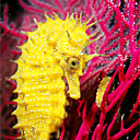 抔旧祝福表情图13