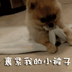 王俊凯表情包带字图片 最新版13 王俊凯表情包带字图片 最新版13