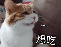 张学友狗年表情12