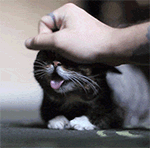 张学友的经典表情粤语版1 张学友的经典表情粤语版1