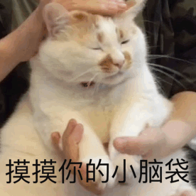 搞笑表情包搞笑gif5 搞笑表情包搞笑gif5