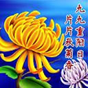 哇哦搞笑表情包12 哇哦搞笑表情包12