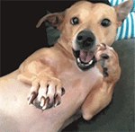 生了女儿的发表说说9 生了女儿的发表说说9