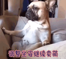 搞笑表情带字的图 笑死人13 搞笑表情带字的图 笑死人13