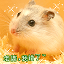 可爱小狗的表情包大全9 可爱小狗的表情包大全9