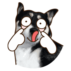 动漫表情包二次元卖萌6 动漫表情包二次元卖萌6