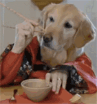 静步刀了你5 静步刀了你5