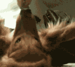 帅哥你好看了你的照片我非常有感觉1 帅哥你好看了你的照片我非常有感觉1