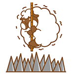 微信红包图片表情5