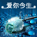 滑稽表情被打脸1 滑稽表情被打脸1